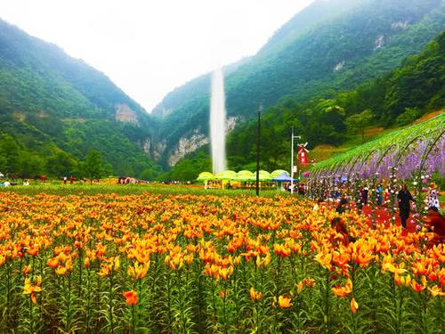 櫻桃,蠶桑,花卉等9個特色休閑農業觀光產業園區,52個精品旅游村落和轉