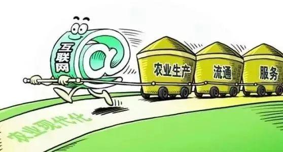 新業態:"互聯網"重構現代農業流通體系助力農產品出村