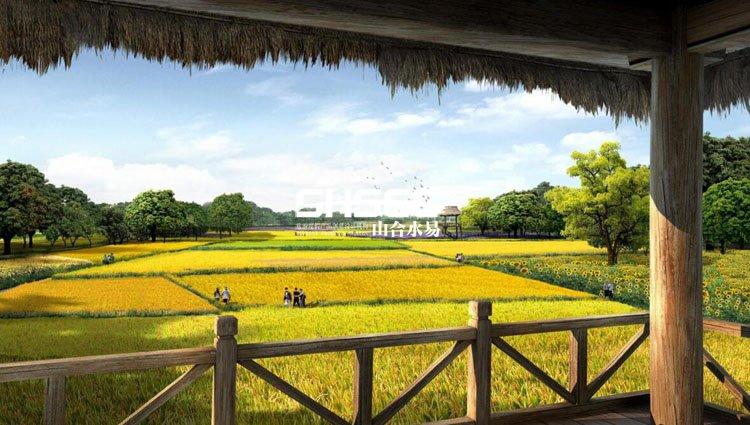 什么地方適合做休閑農(nóng)業(yè)與鄉(xiāng)村旅游?