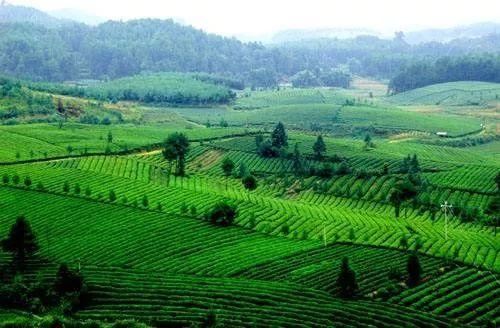 2018年湖南招商引資項目指南·農(nóng)業(yè)開發(fā)及農(nóng)產(chǎn)品加工篇(上),好項目等