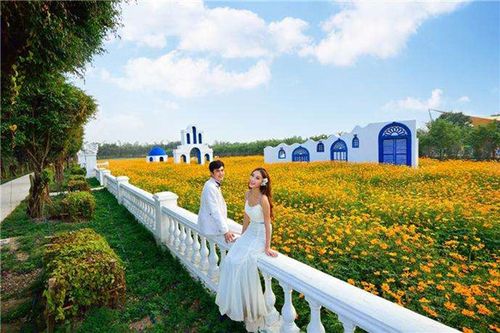 創(chuàng)行合一休閑農(nóng)業(yè)與鄉(xiāng)村旅游規(guī)劃網(wǎng)