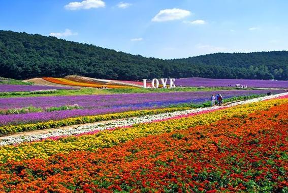 休閑農(nóng)業(yè)旅游規(guī)劃