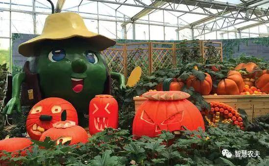 【觀光農(nóng)業(yè)】以蔬菜為主題的農(nóng)業(yè)觀光園,趣味滿滿!