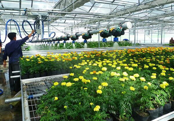 實訓基地將成為培養新型農民,嘗試新型農業項目的搖籃.