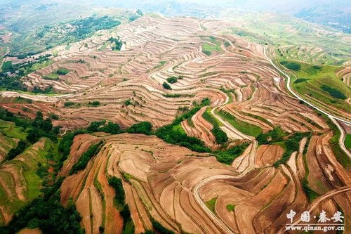 秦安縣依托農業綜合開發項目助力精準扶貧