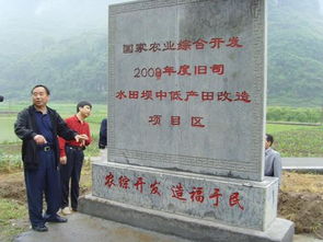 來鳳縣舊司鄉土地治理項目順利竣工