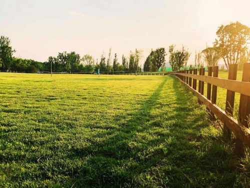 國家鄉村振興局成立,收好了這23項可申請補貼項目