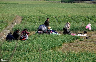 自治區農業農村廳關于印發2019年中央農業生產發展資金 家庭農場 項目實施方案的通知