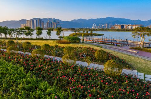 肇慶新區與鼎湖攜手發展現代農業 兩個項目在今天簽約