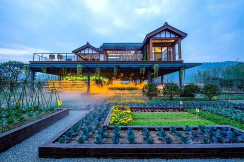 29個鄉村振興政府補貼項目