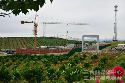 喜迎黨代會(huì) 我縣農(nóng)業(yè)發(fā)展生機(jī)蓬勃