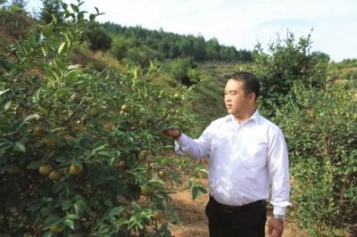 衡陽(yáng)80后小伙回鄉(xiāng)創(chuàng)業(yè),千畝荒山變身生態(tài)農(nóng)業(yè)基地