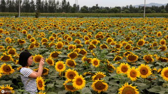 2019年年尾適合鄉鎮發展,五個冷門偏門小生意,新手年前做