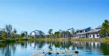 專題 田園綜合體 的發展模式探討及相關典型案例