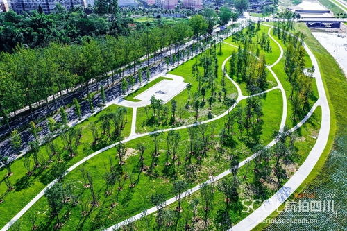 綿陽︱草溪河綜合整治加速推進