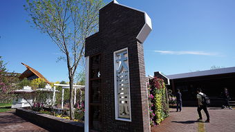 江蘇海安 玫瑰花鋪就農民致富 芬芳之路