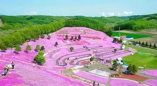 農(nóng)業(yè)休閑項(xiàng)目開發(fā)的關(guān)鍵有兩個(gè)落點(diǎn)(親子、工作)