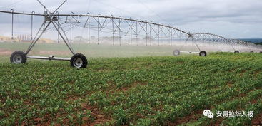 中國向安哥拉提供1億元,支持當地農業項目發展