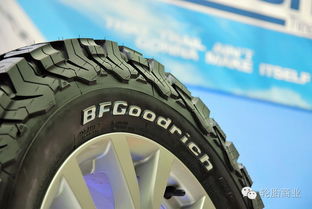 米其林百路馳卡車輪胎搶占新市場
